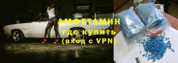 дмт Ельня