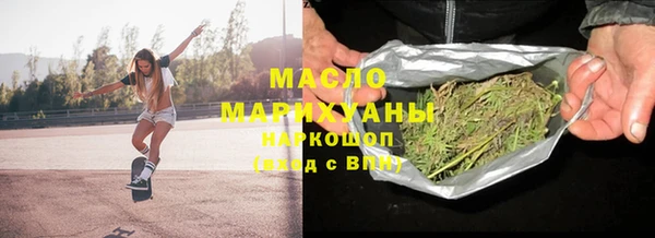 дмт Ельня