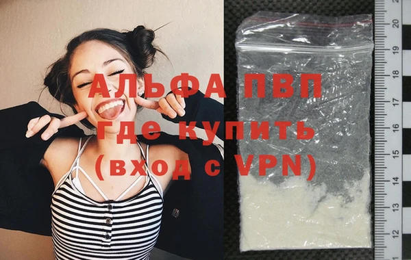 дмт Ельня