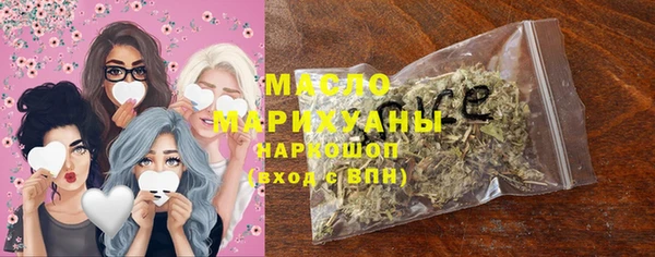 дмт Ельня