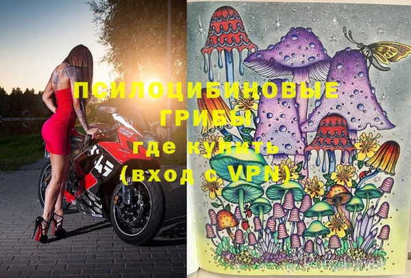 МДПВ Елизово