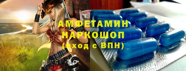 дмт Ельня