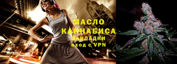 дмт Ельня