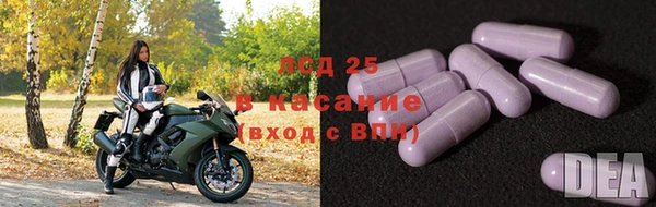 дмт Ельня