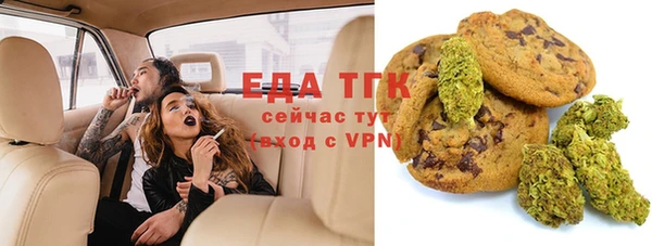 дмт Ельня