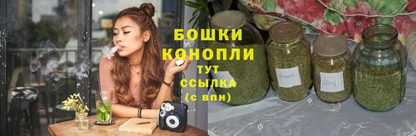 дмт Ельня